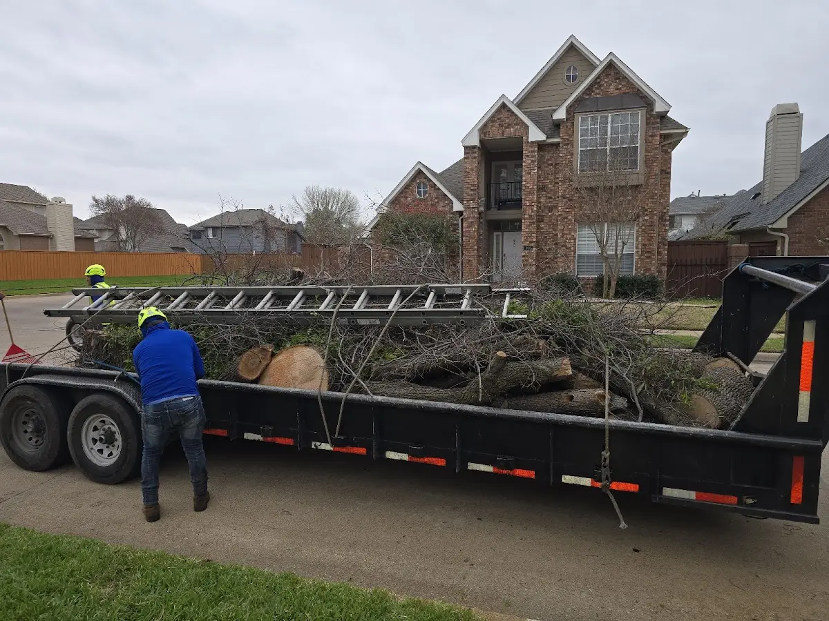 Expert Crown Reduction with proper safety equipment in Jacobs Creek